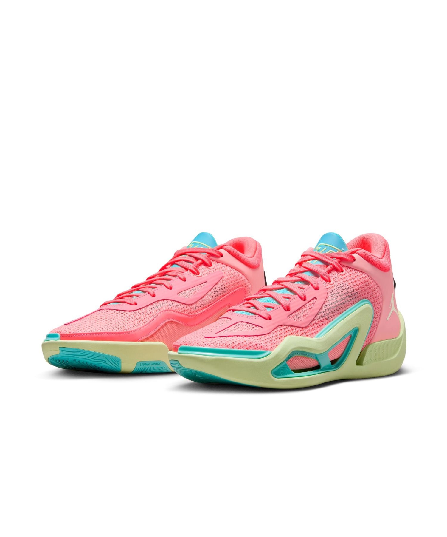 JORDAN / ジョーダン / Jordan Tatum 1 Pf