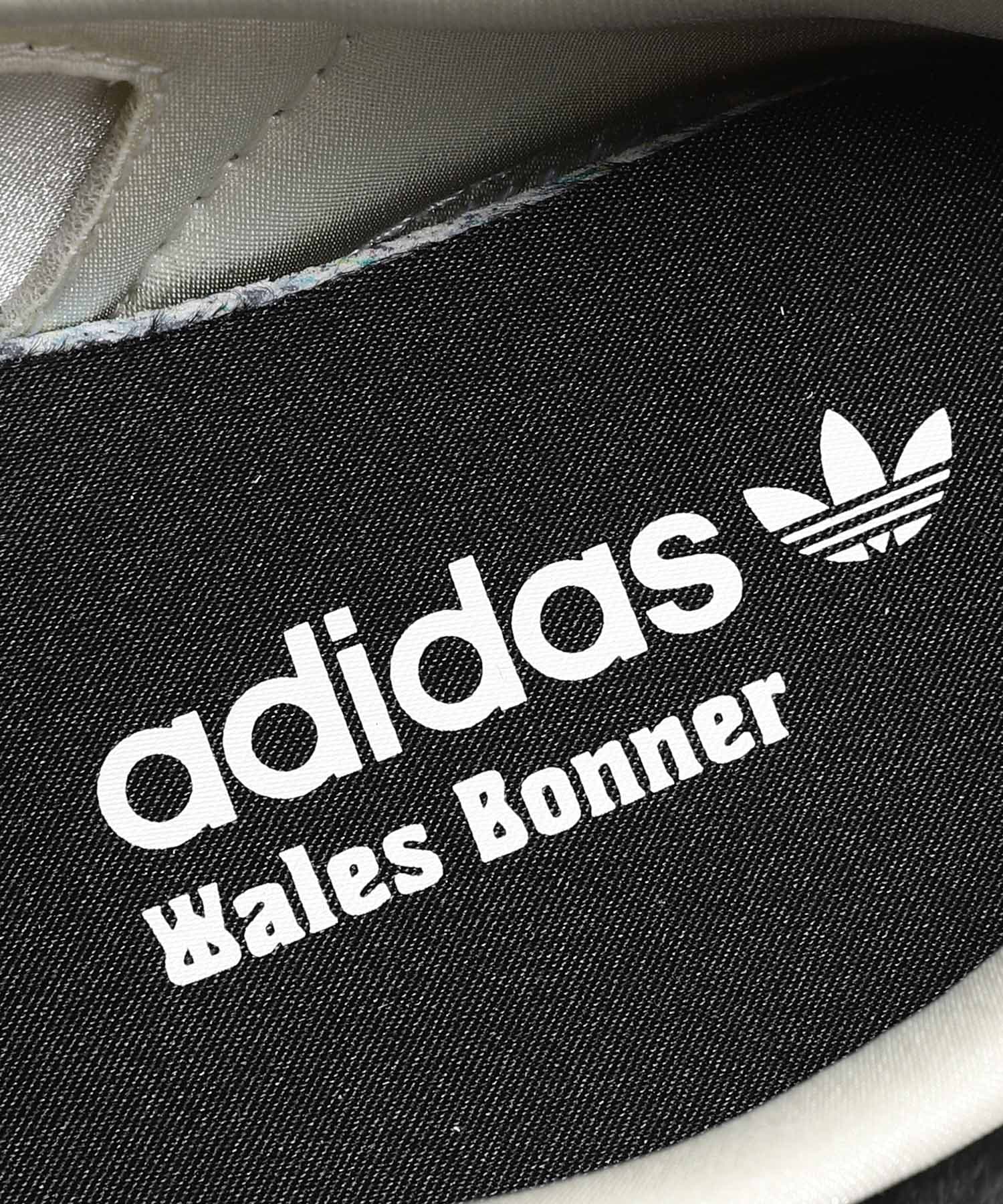 Wb Pony Tonal Samba