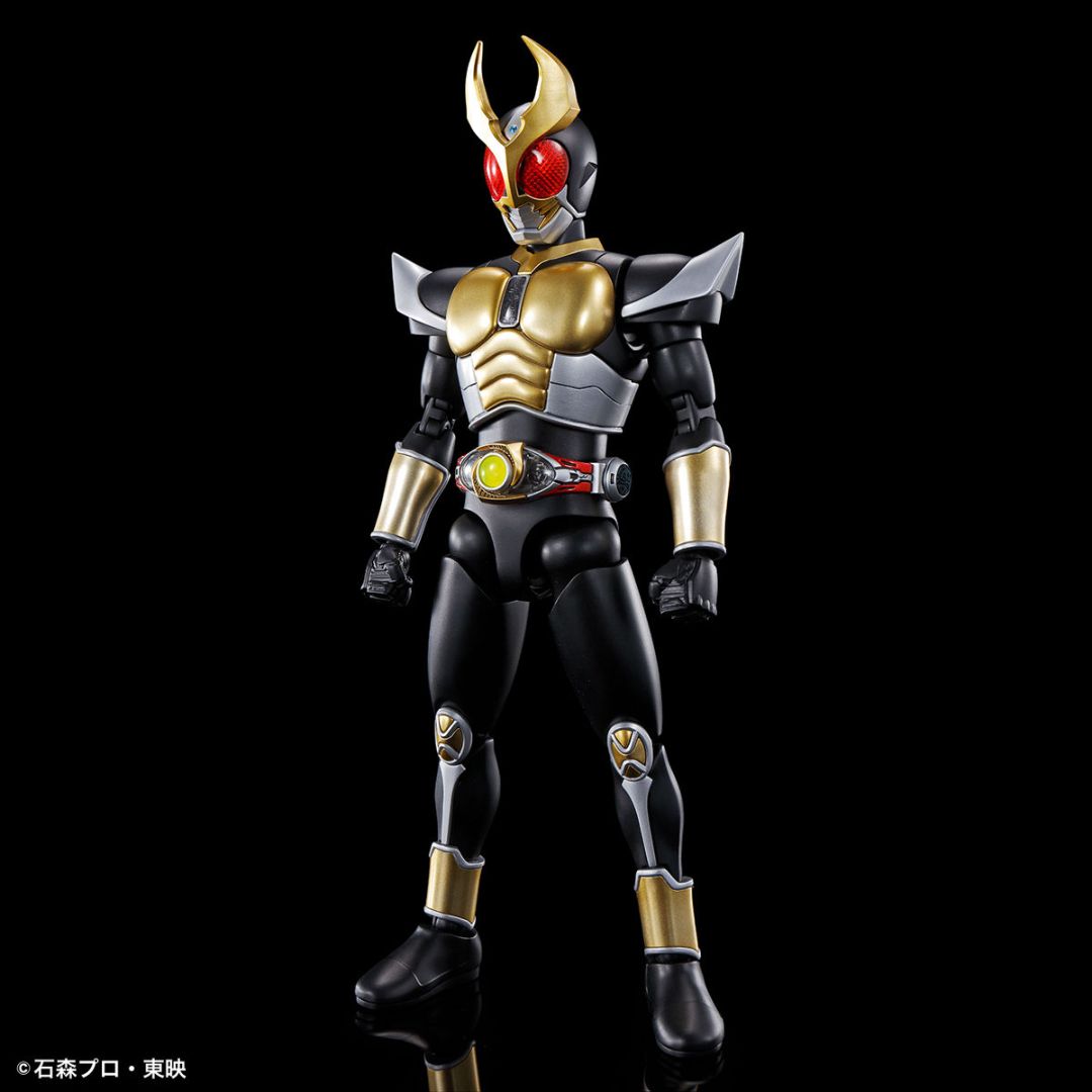 BANDAI 「仮面ライダー」 アギト グランドフォーム