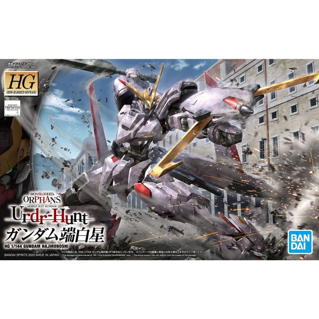 正規輸入代理店 ひな様専用 HG ガンダム端白星 完成品 | www.happychild.co