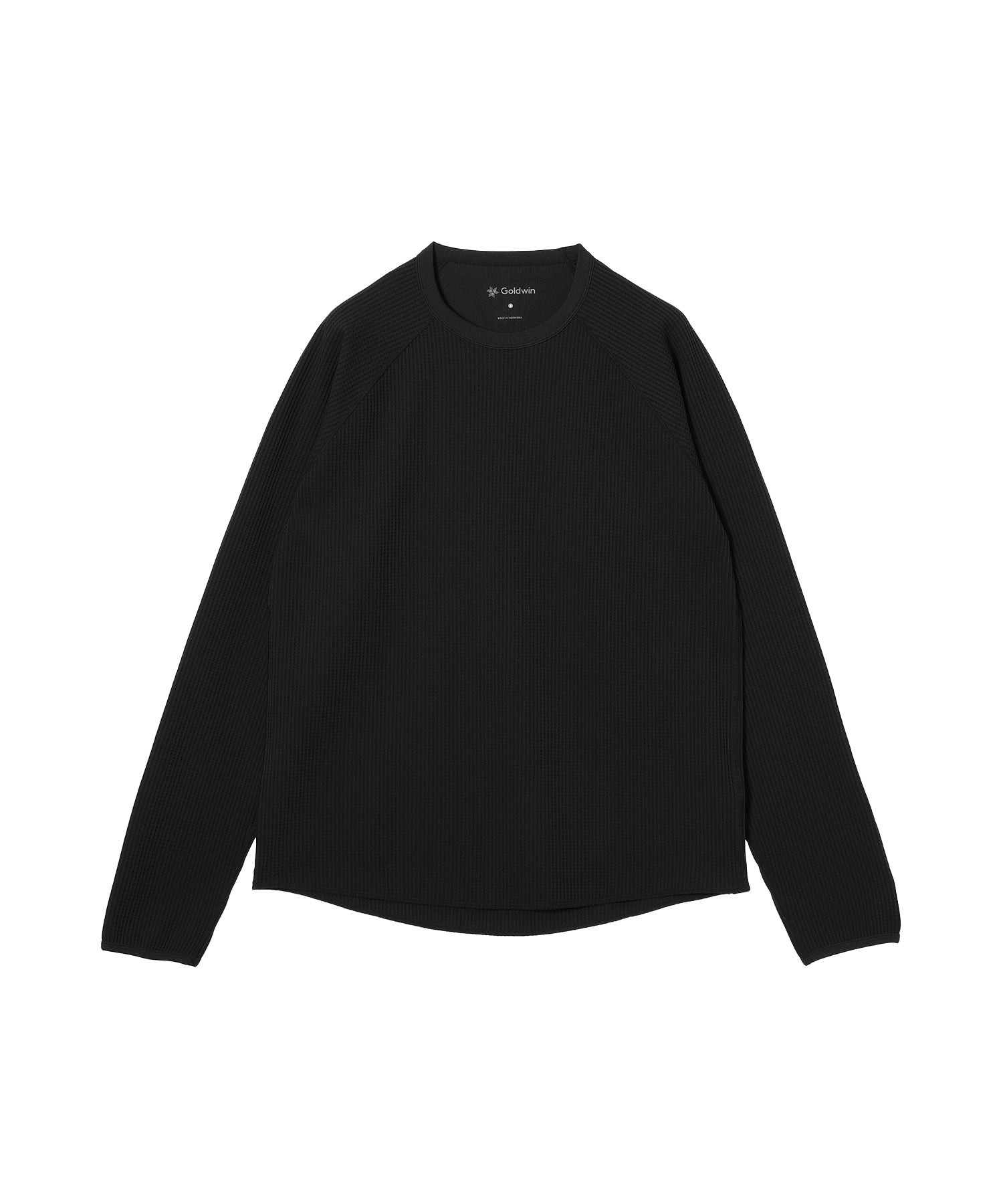 GOLDWIN /ゴールドウイン/ Wf Light L/S T-Shirt