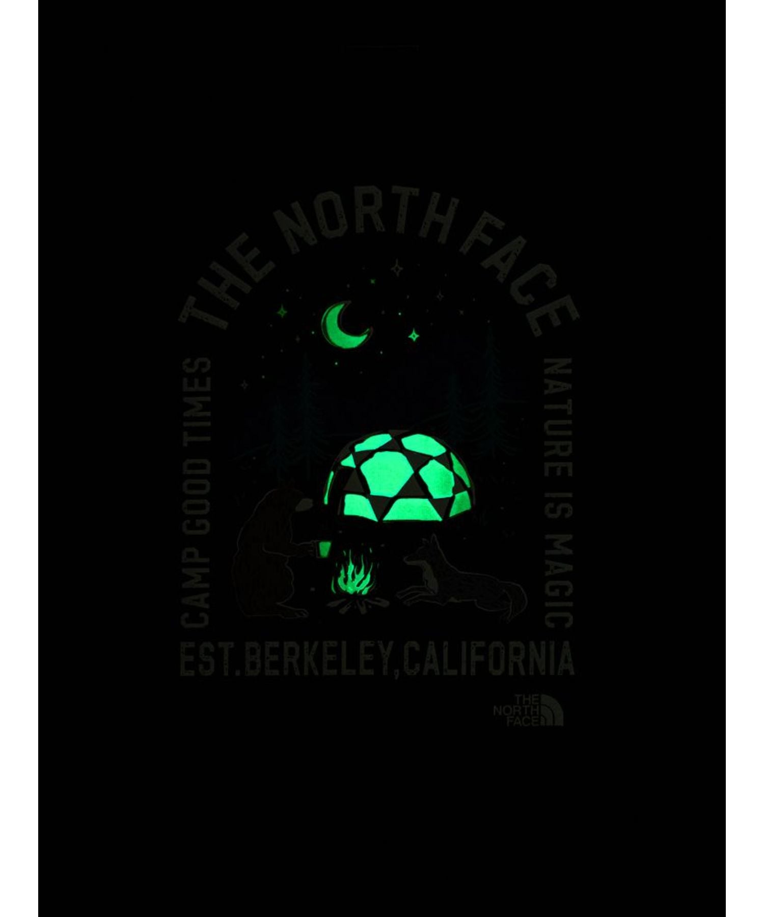 The North Face / ザノースフェイス / B S/S Luminous Camp Graphic Tee