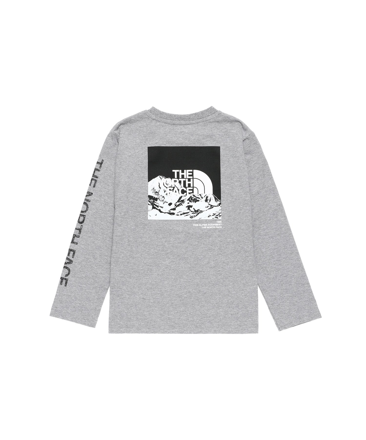 The North Face / ザノースフェイス / L/S Sleeve Graphic Tee