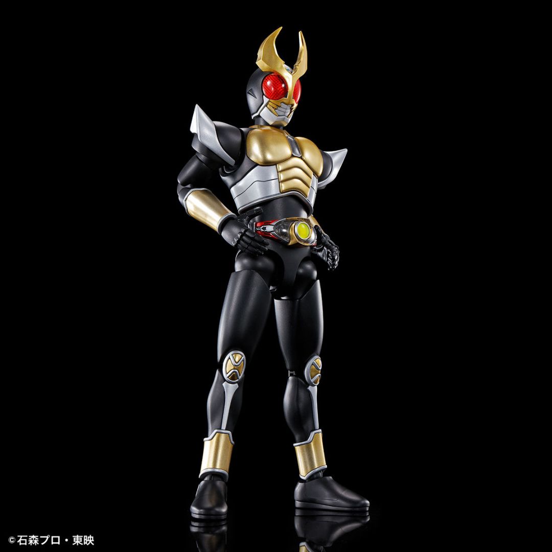 BANDAI 「仮面ライダー」 アギト グランドフォーム